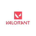 Valorant No Recoil Macro